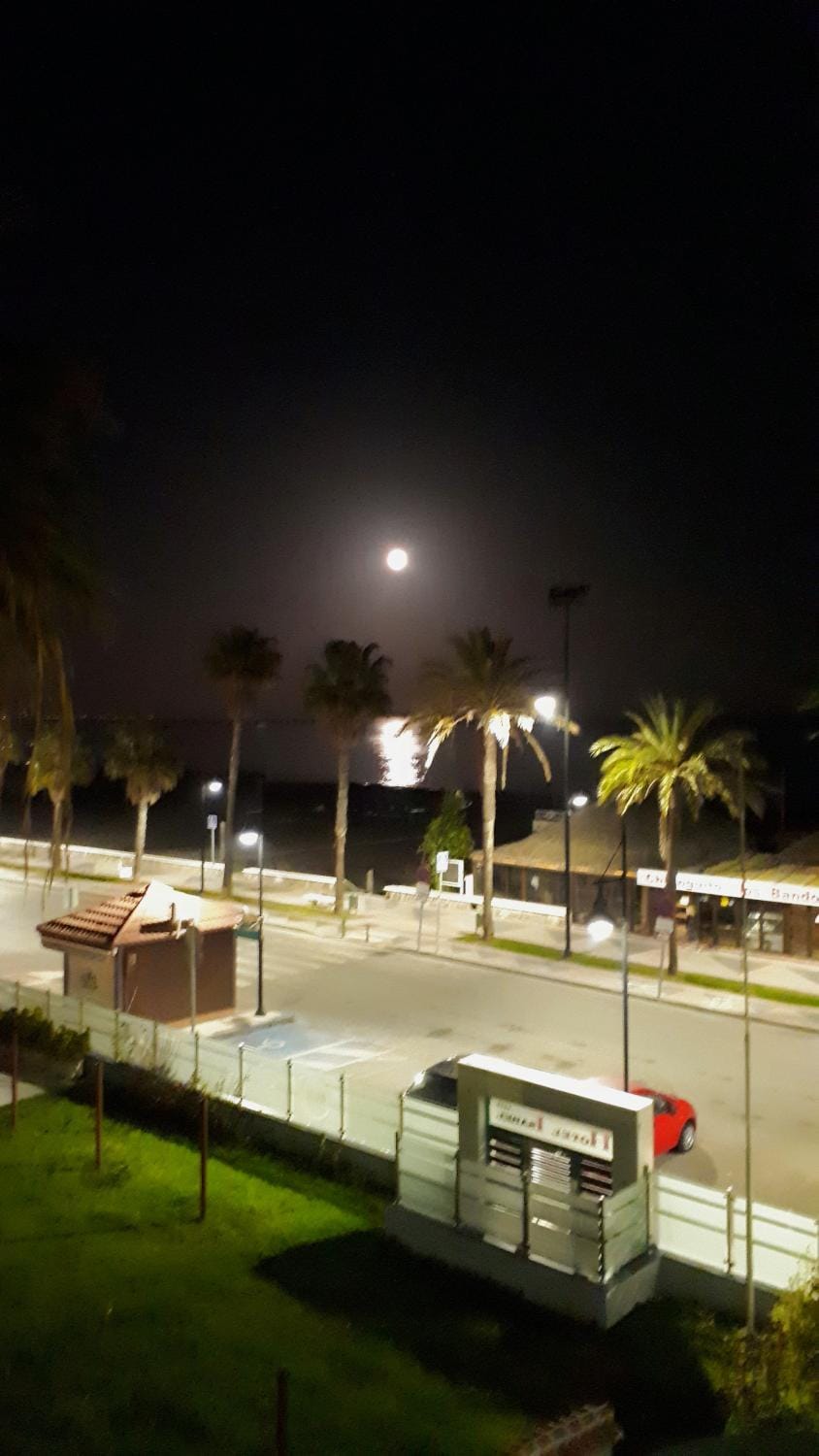 Night