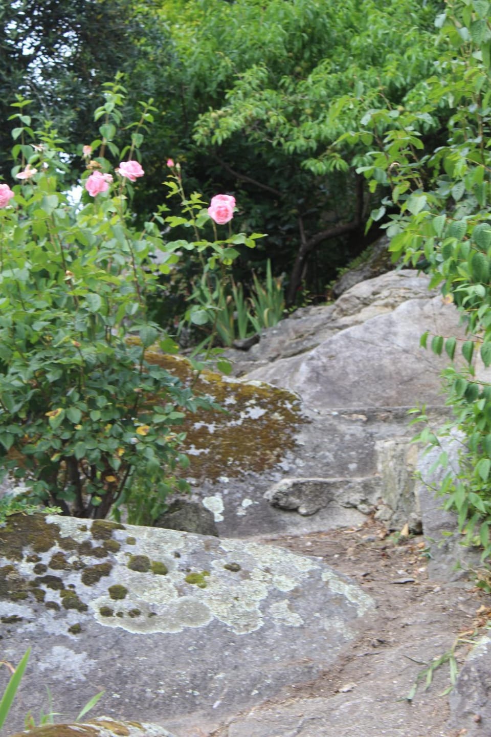 Natural landscape