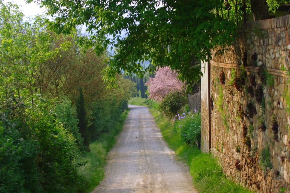 Natural landscape, Landmark view, Quiet street view