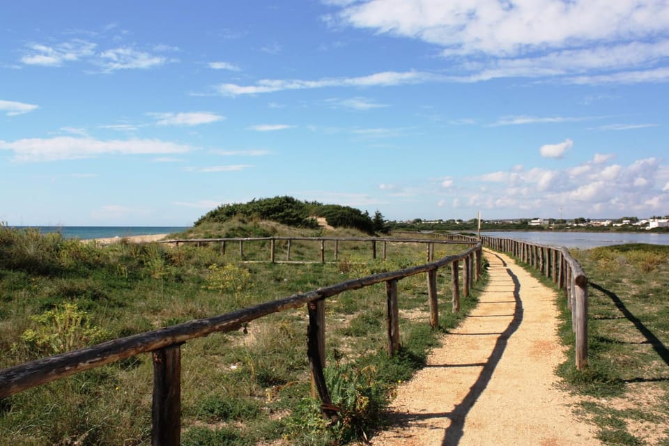Property building, Natural landscape, Summer, Beach