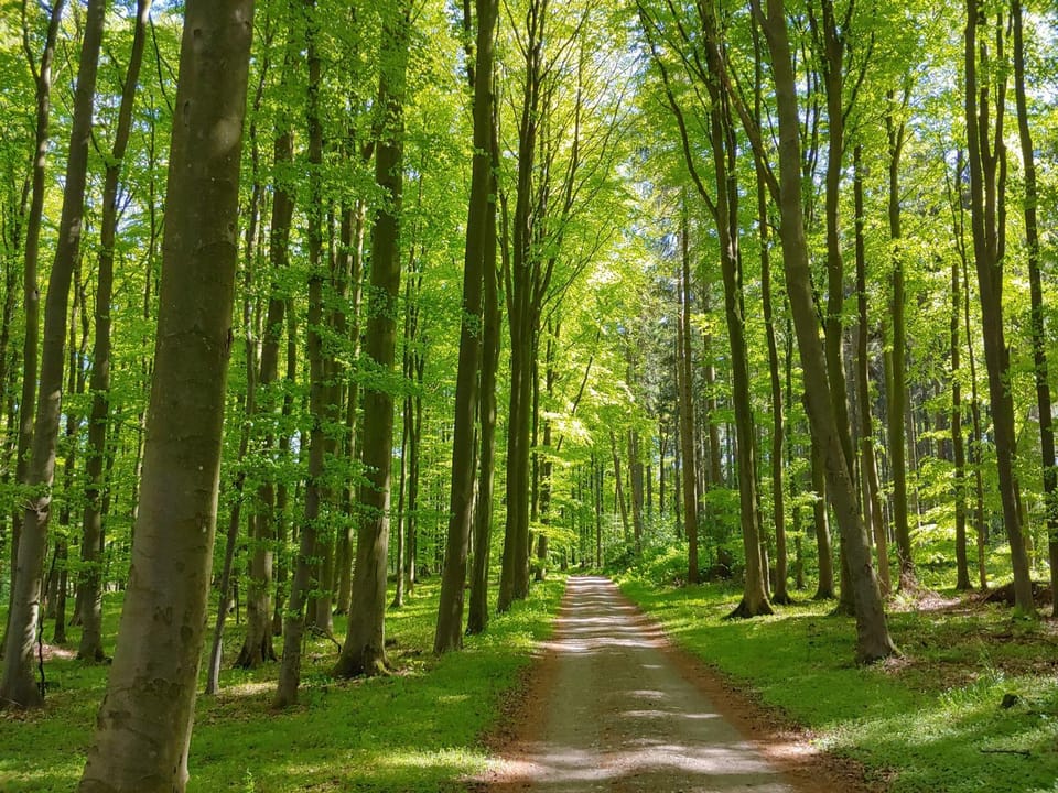 Natural landscape