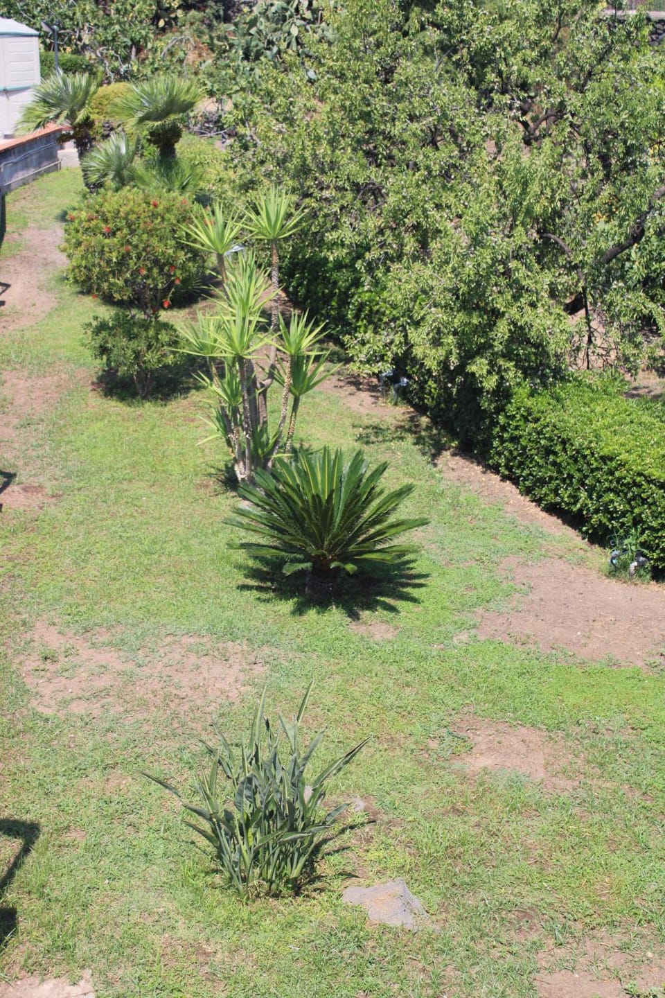 Bird's eye view, Garden