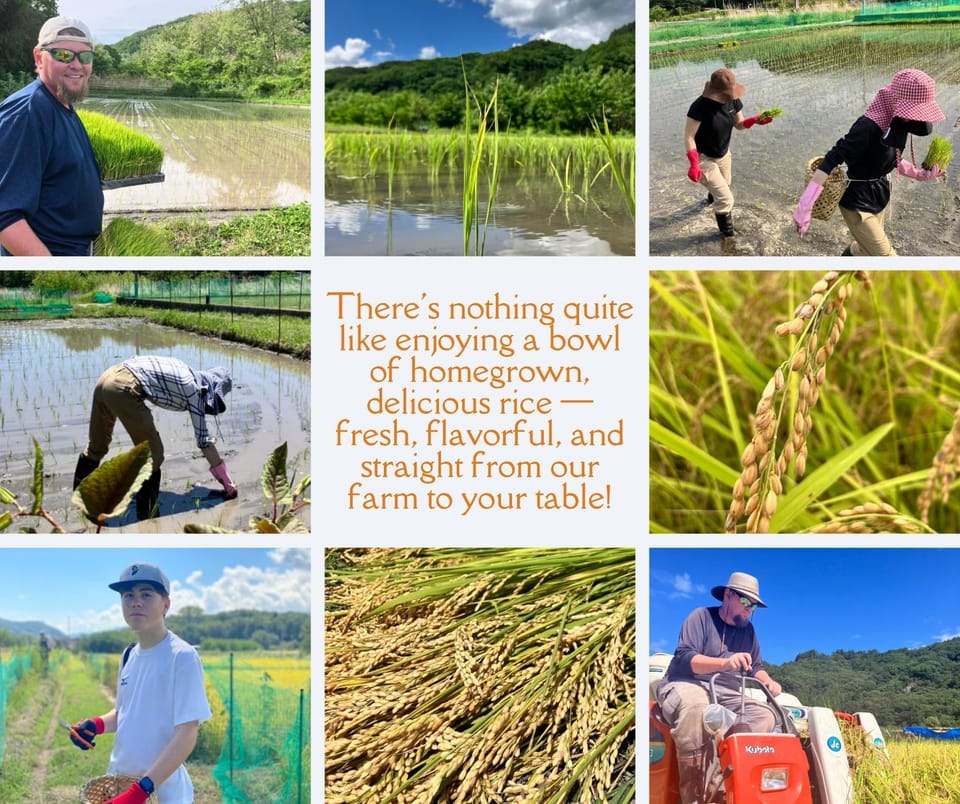 Julian's English Homestay and Pension Bed and Breakfast in Nagano Prefecture