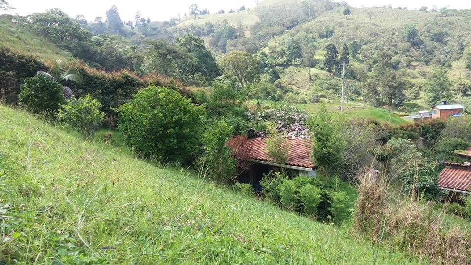 Property building, Natural landscape