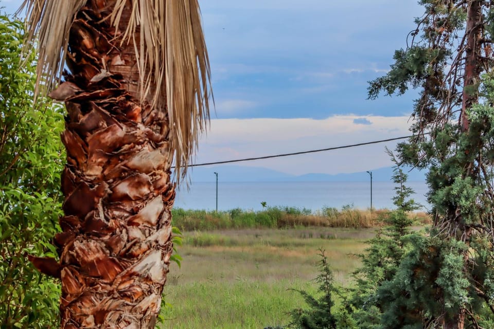 Calma Luxury Apartments #4 Sozopoli in Halkidiki Apartment in Halkidiki