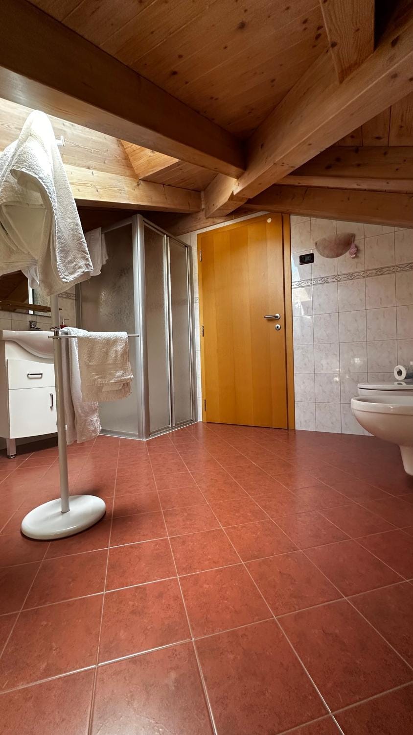 Shower, Toilet, Bathroom, towels