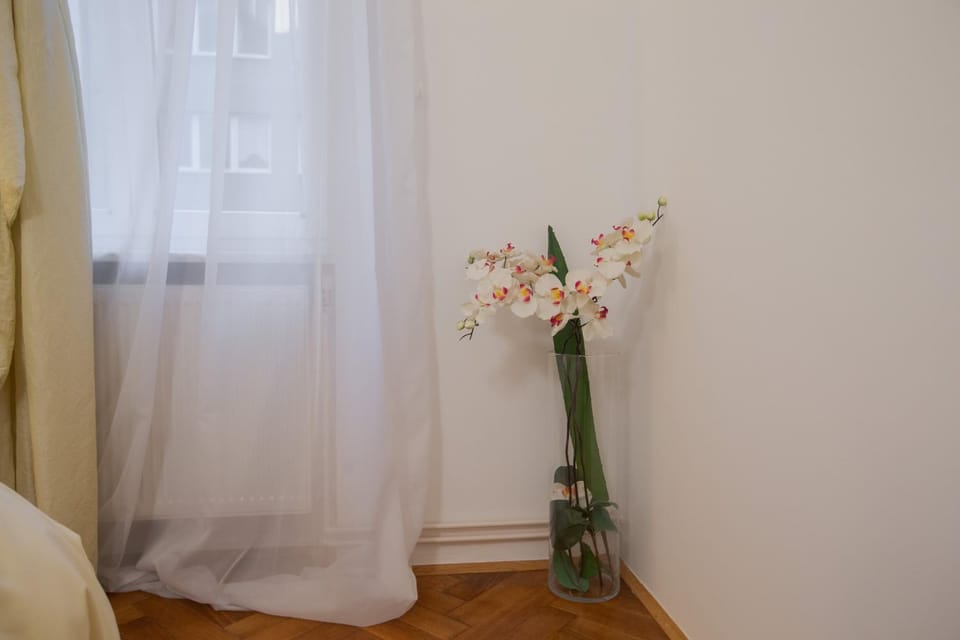 Apartman Manja Apartment in City of Zagreb