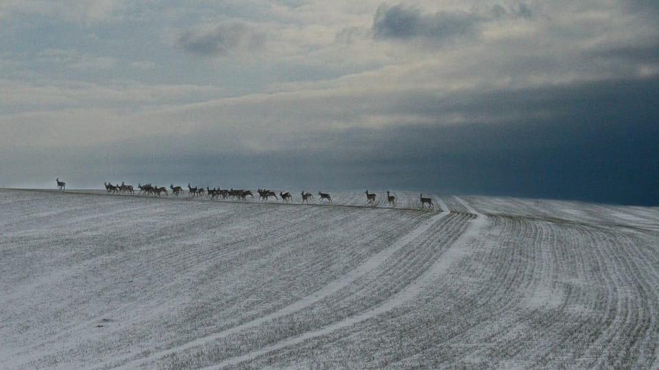 Natural landscape, Winter