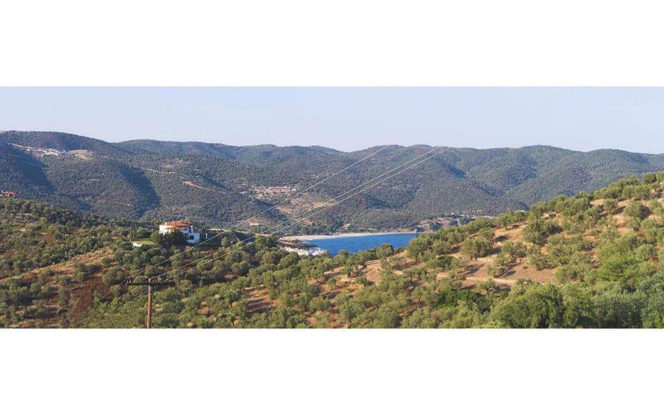 Art Hotel Panorama Hotel in Halkidiki