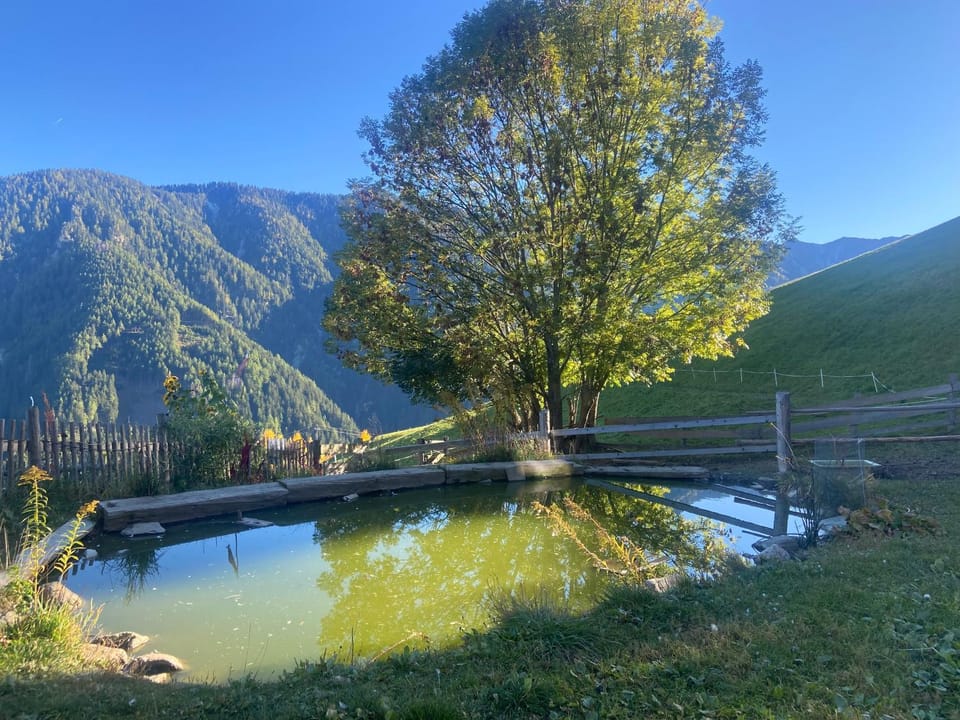 Knappnhof Bed and Breakfast in Trentino-South Tyrol