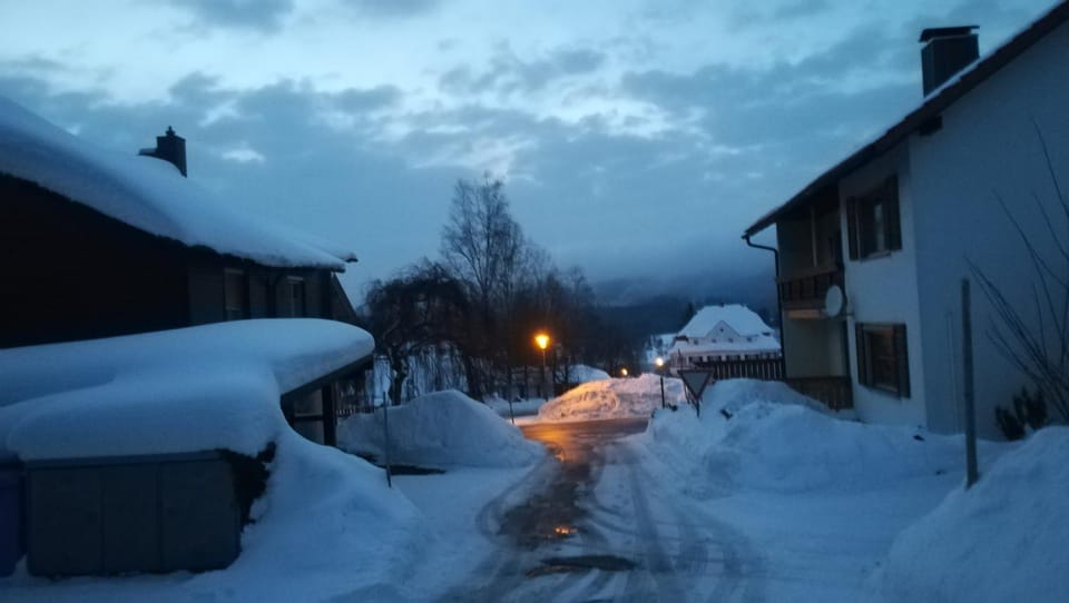 Neighbourhood, Winter