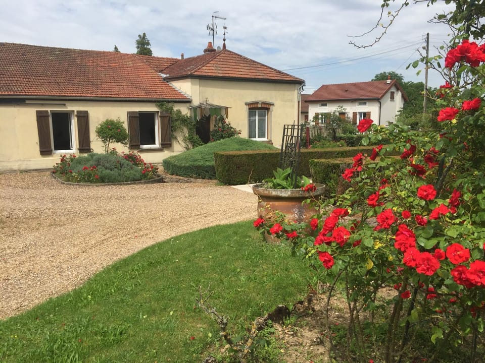 Property building, Garden, Garden view