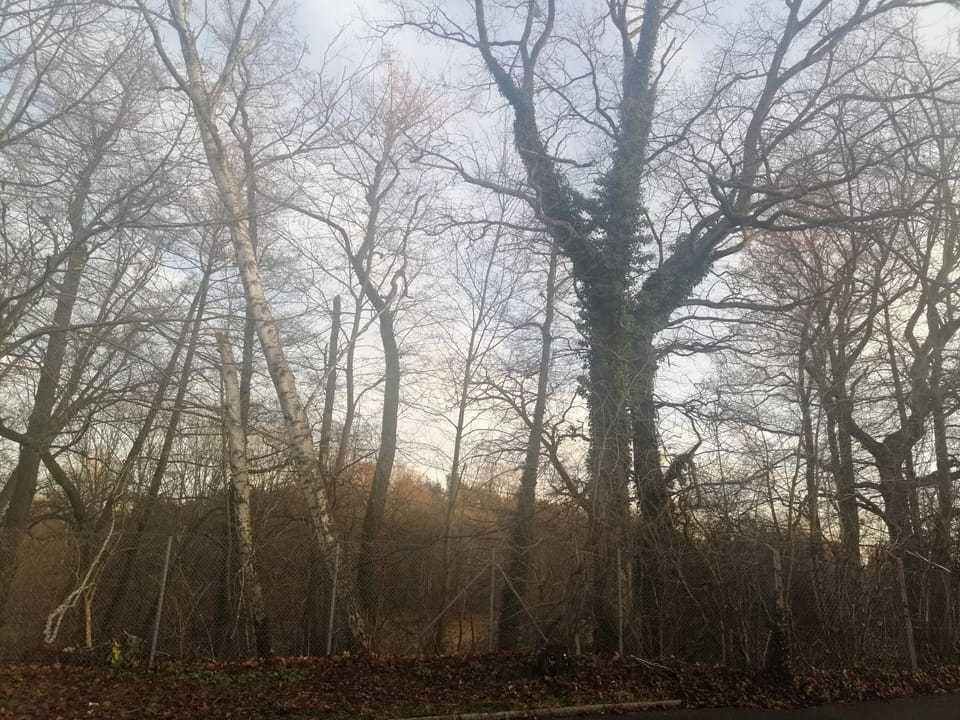 Natural landscape