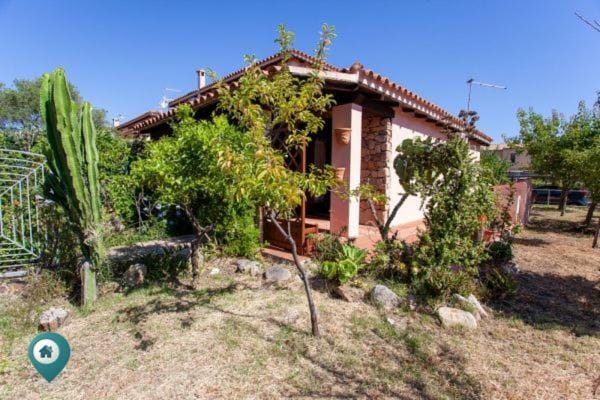 Grosseto Bilo Apartment in San Teodoro