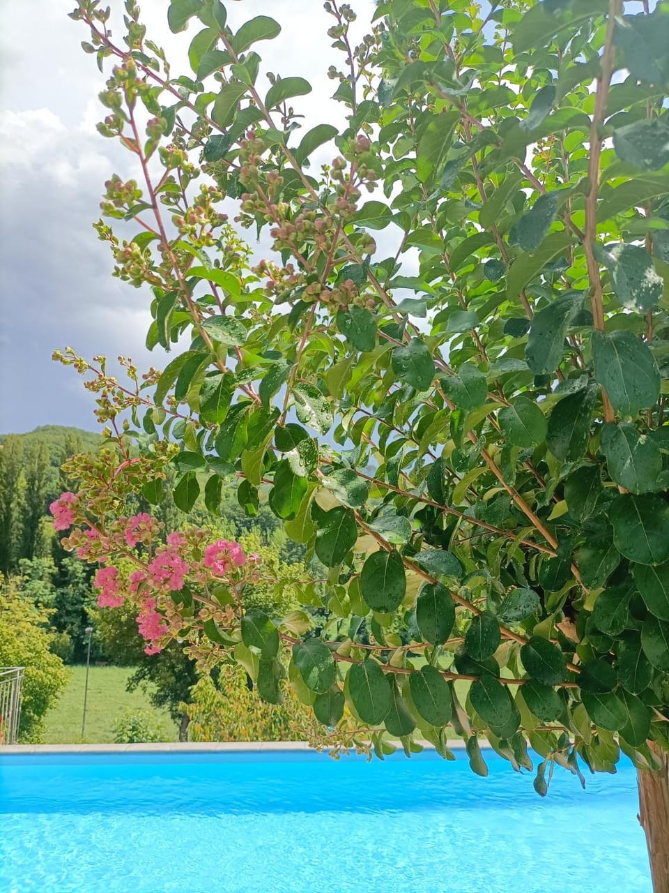B&B VILLA GINEVRA Bed and Breakfast in Umbria
