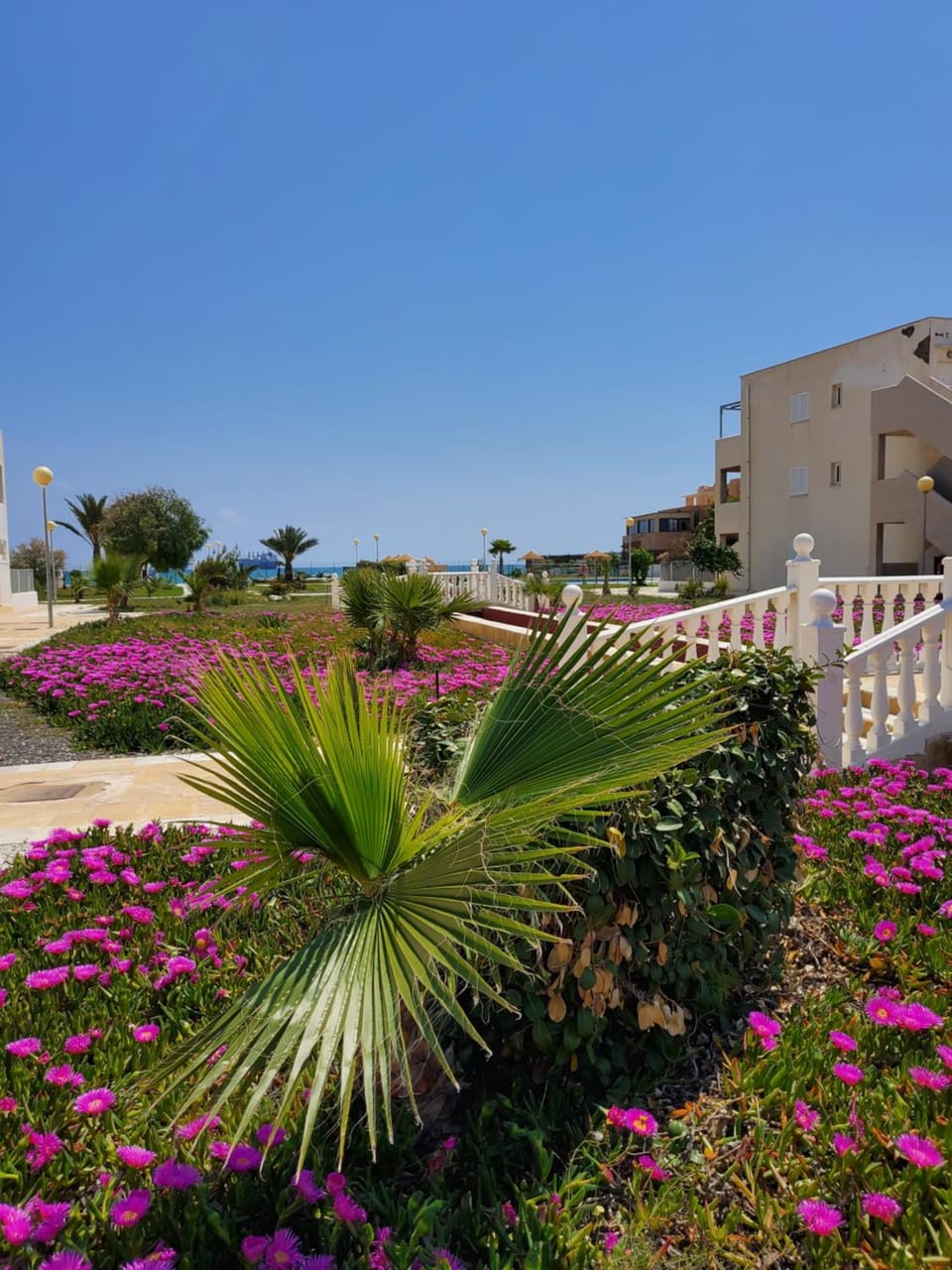 Neighbourhood, Garden
