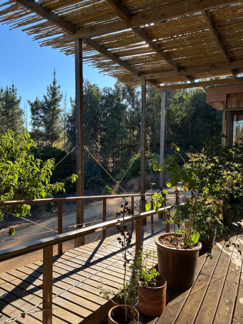 Garden view