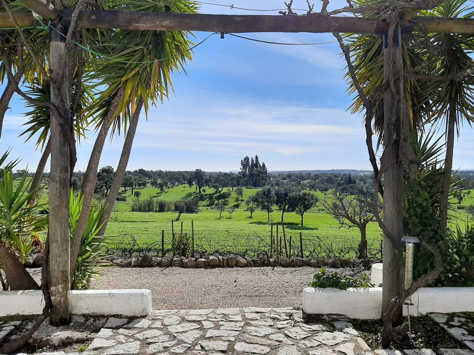 Monte da Casa Branca by Hi Alentejo House in Setubal District