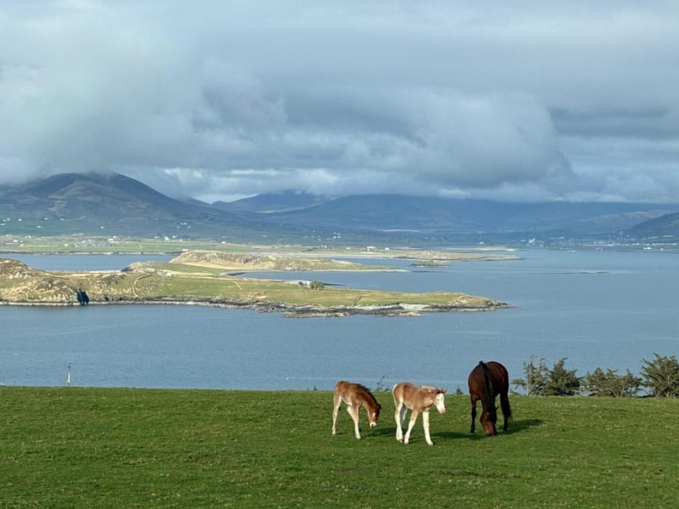 Glanleam's Gardener's Cottage House in County Kerry