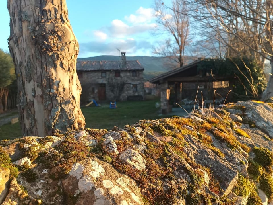 Property building, Day, Natural landscape, Garden