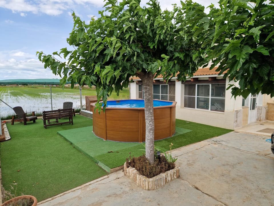 Patio, Natural landscape, Garden, Pool view, Swimming pool, sunbed