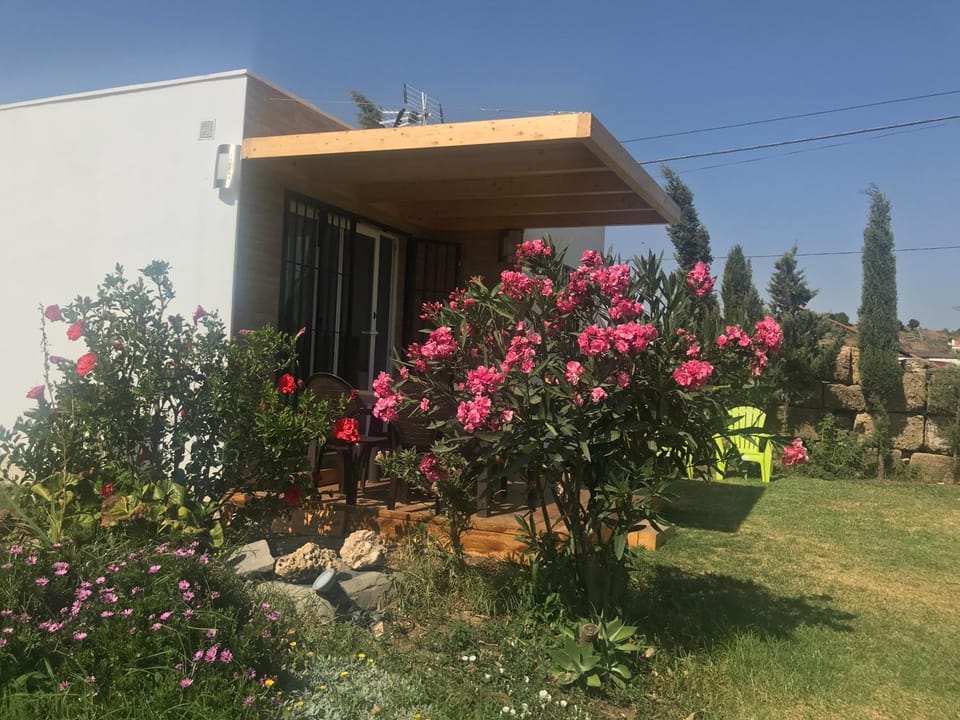 Property building, Facade/entrance, Garden