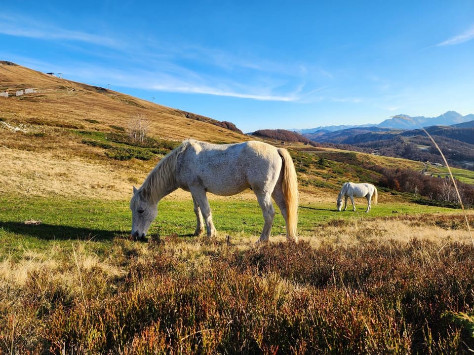 Natural landscape