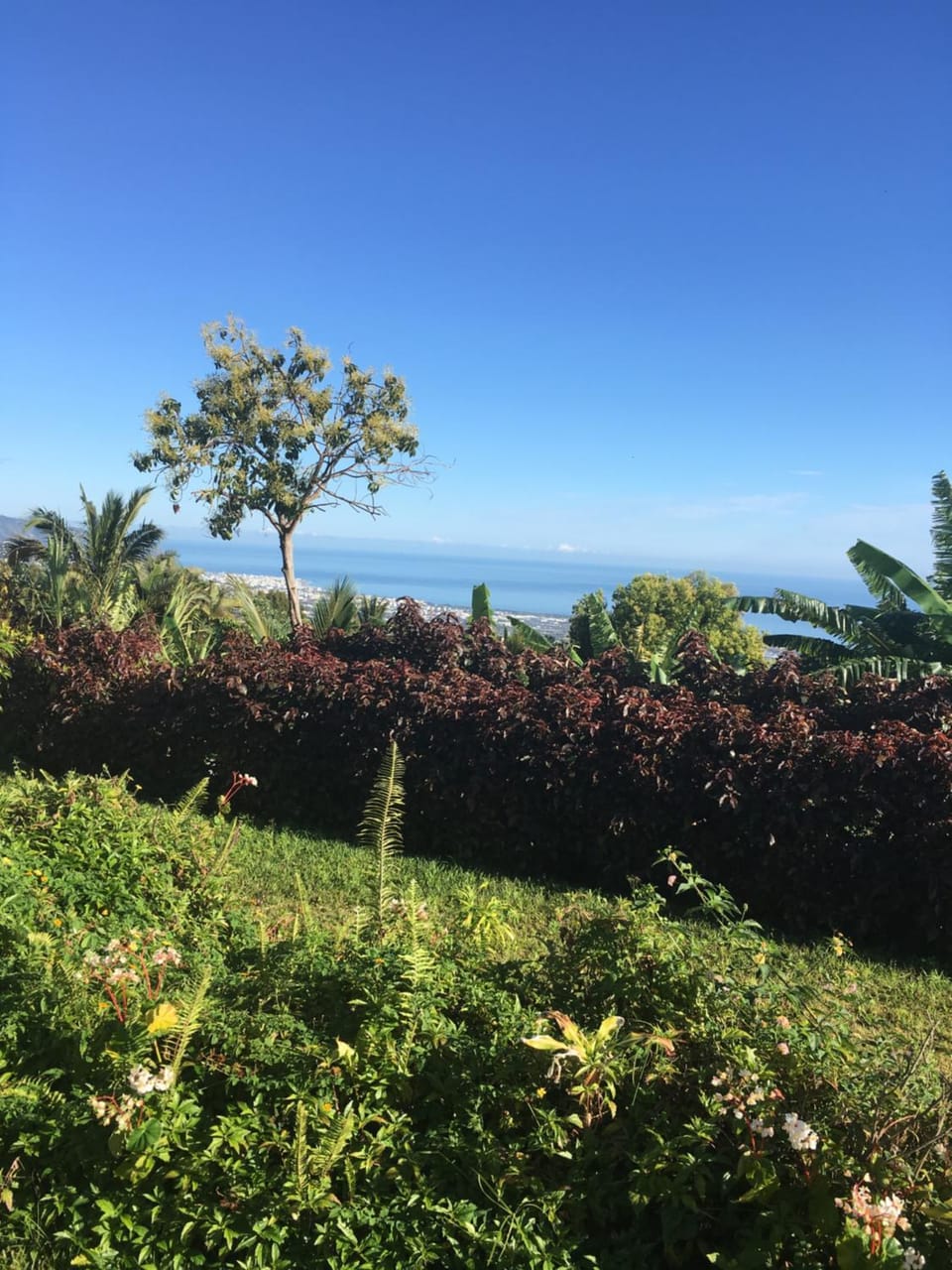Sea view