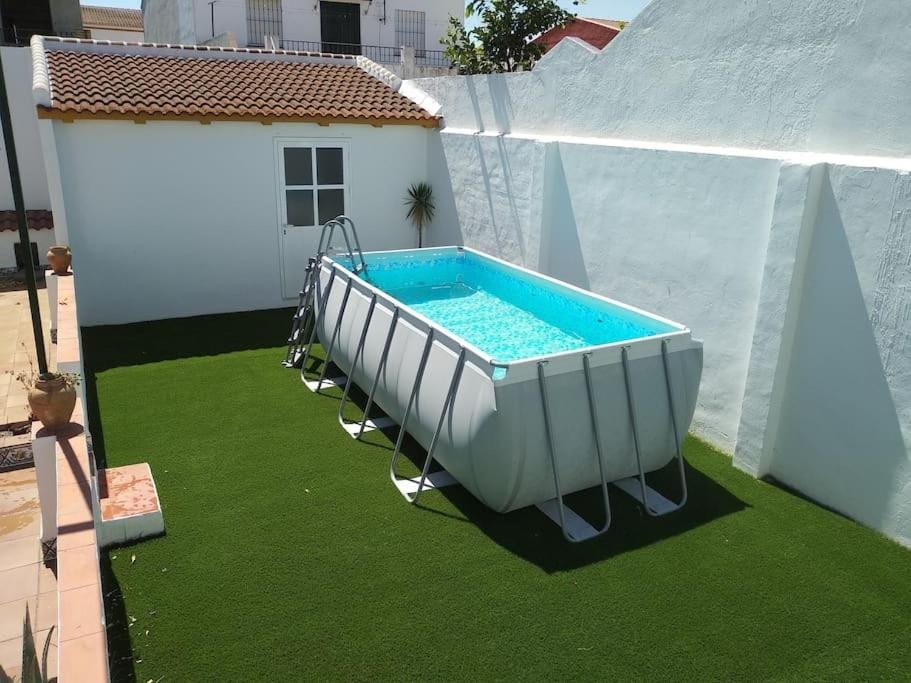 Swimming pool, sunbed