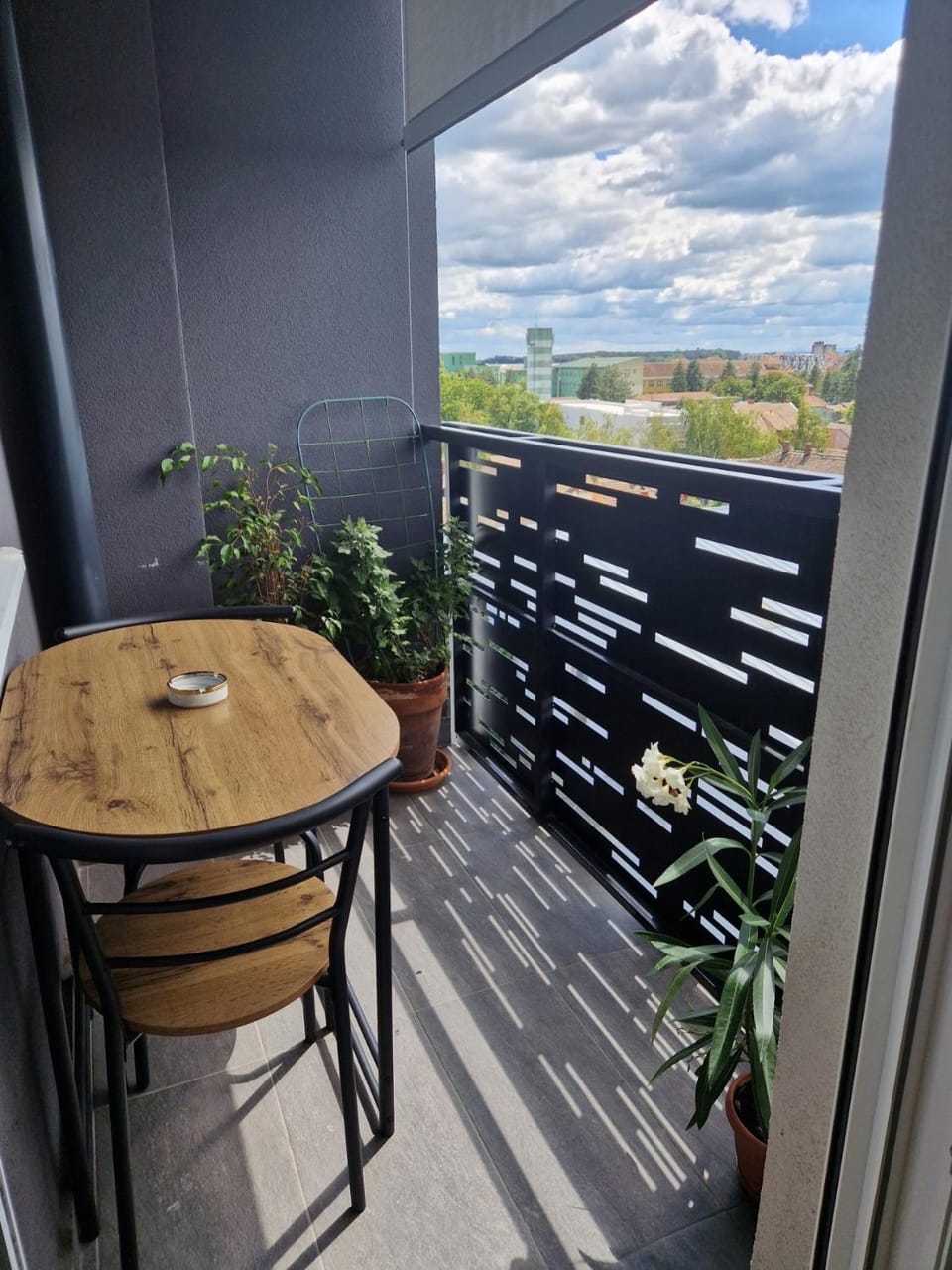 Dimitra apartman Apartment in Vojvodina