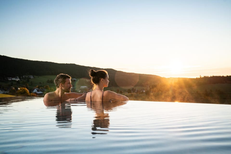 Spa and wellness centre/facilities, Swimming pool