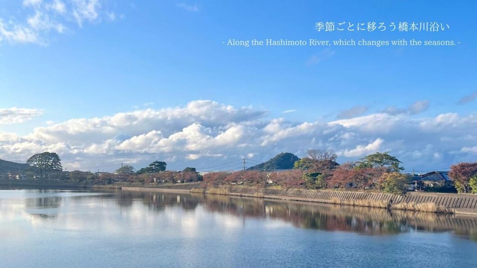 Natural landscape