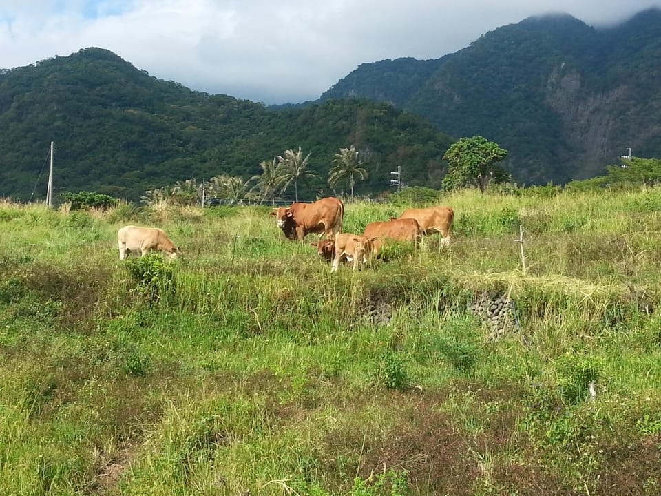 Natural landscape