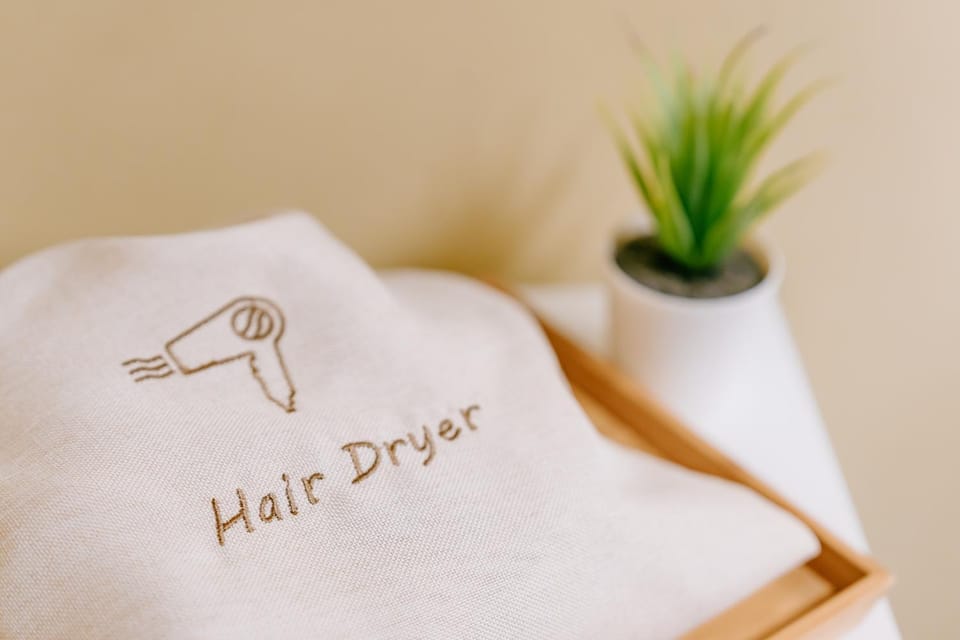 hair dryier