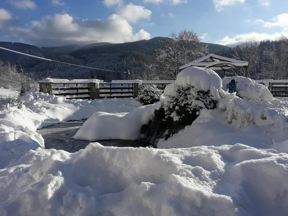 Winter, Mountain view