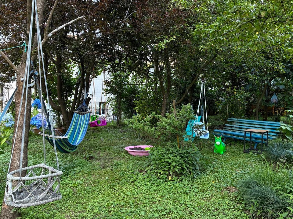 Wooden Cottage Bed and Breakfast in Adjara, Georgia