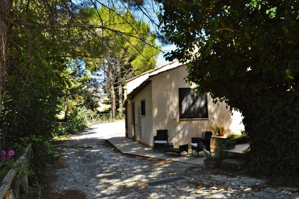 Property building, Garden view