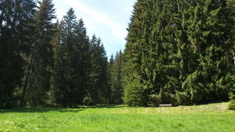 Ferienhaus Bad Hundertpfund Typ A House in Thuringia, Germany