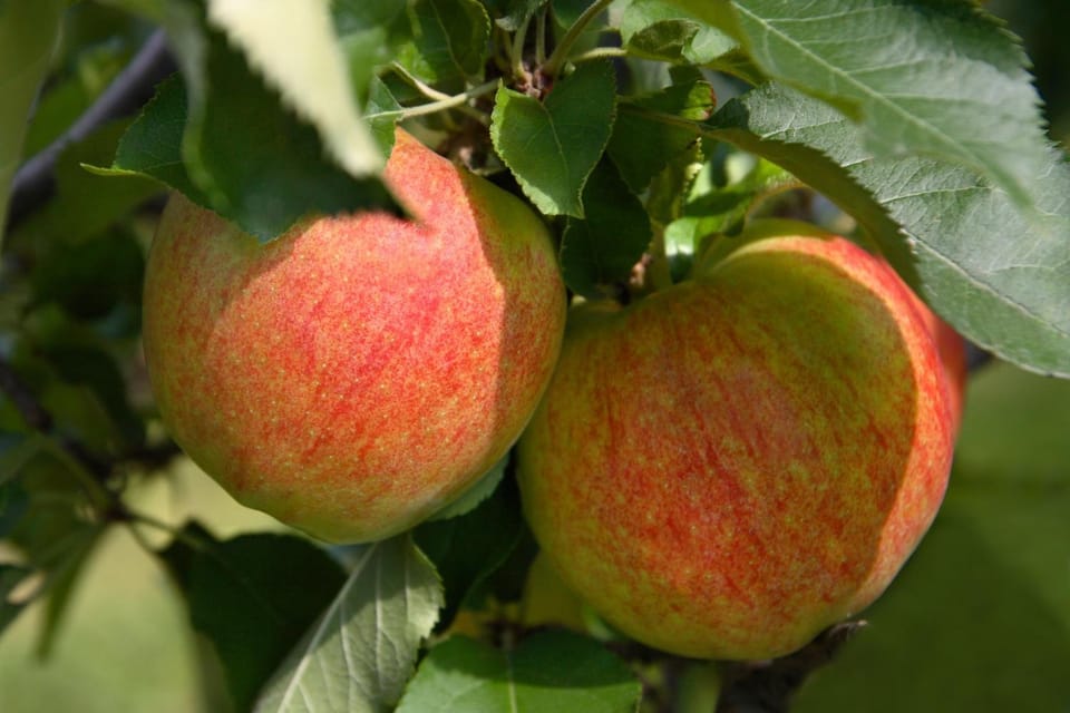 Natural landscape, Autumn