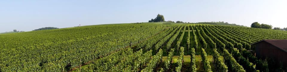 Natural landscape, View (from property/room), Hiking