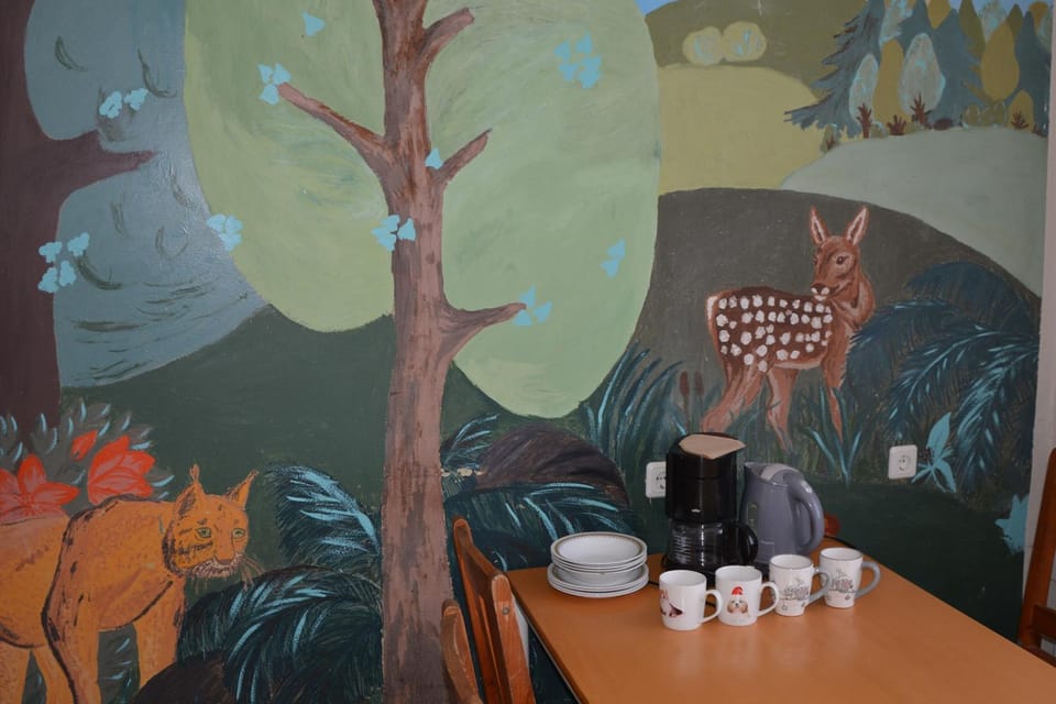 Communal kitchen