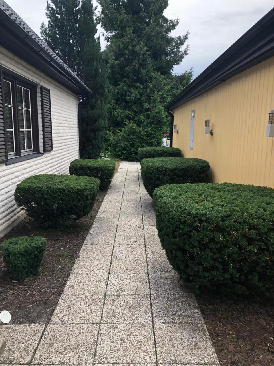 Facade/entrance, Garden