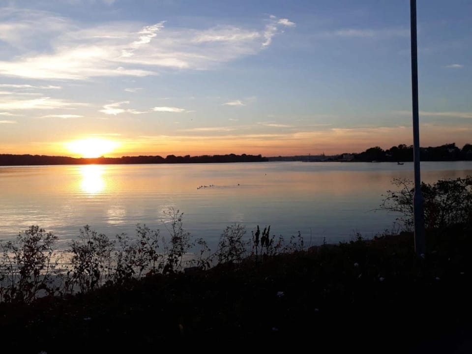 Lake view