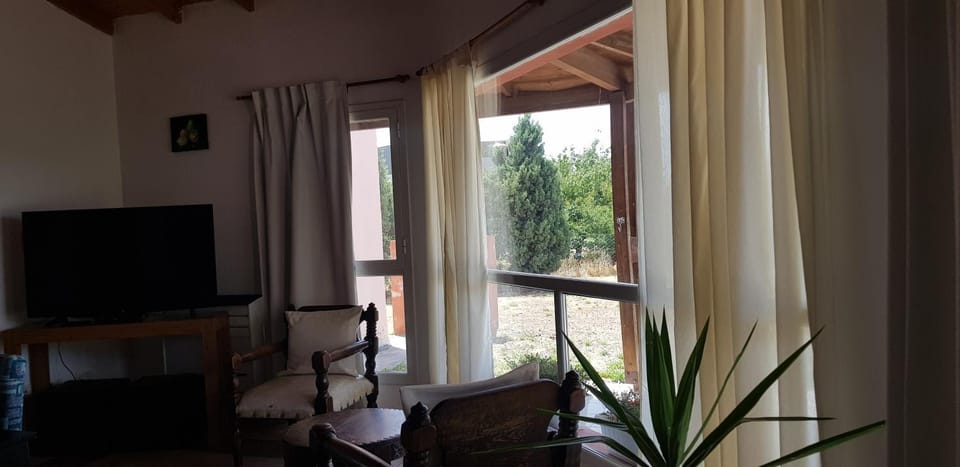 TV and multimedia, Living room, Garden view