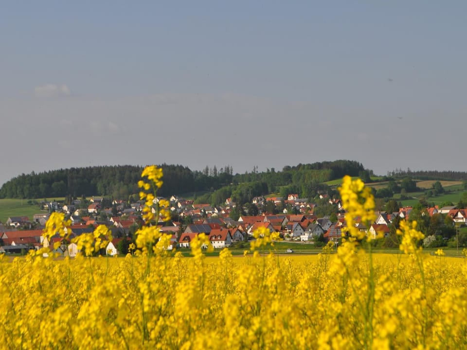 Neighbourhood, Natural landscape, Hiking, City view