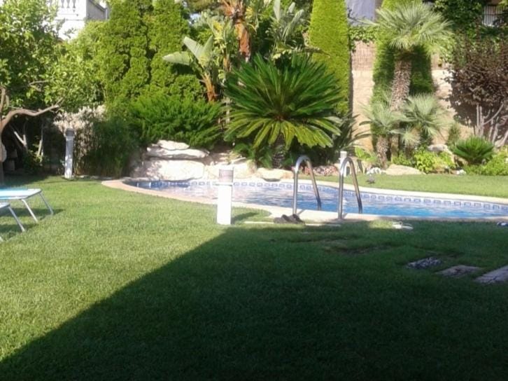 Garden, Swimming pool, Swimming pool