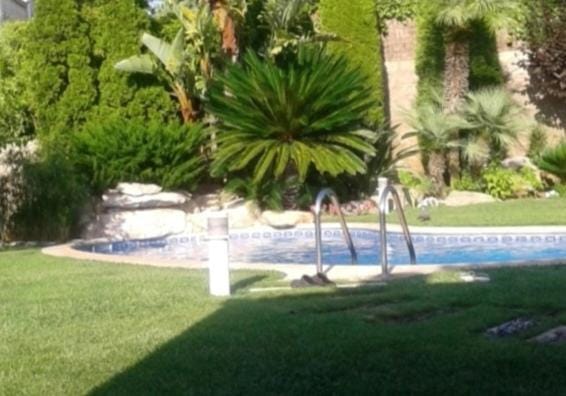 Garden, Swimming pool, Swimming pool