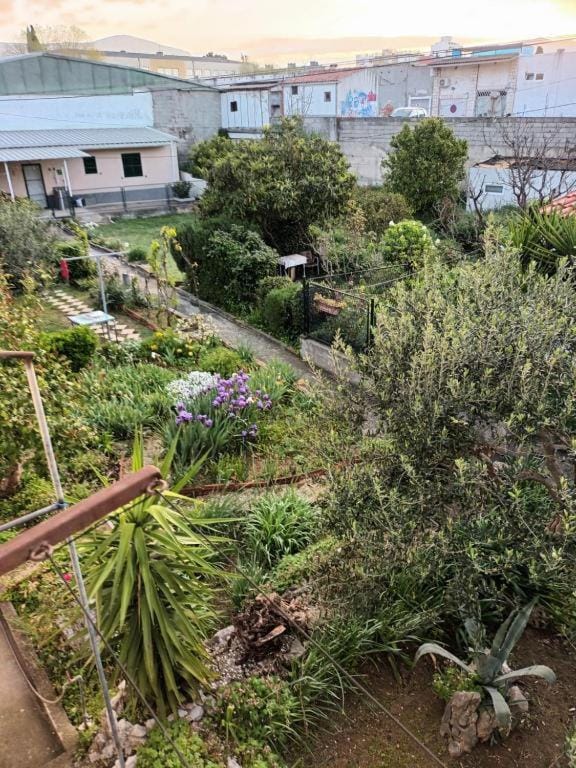 Garden view