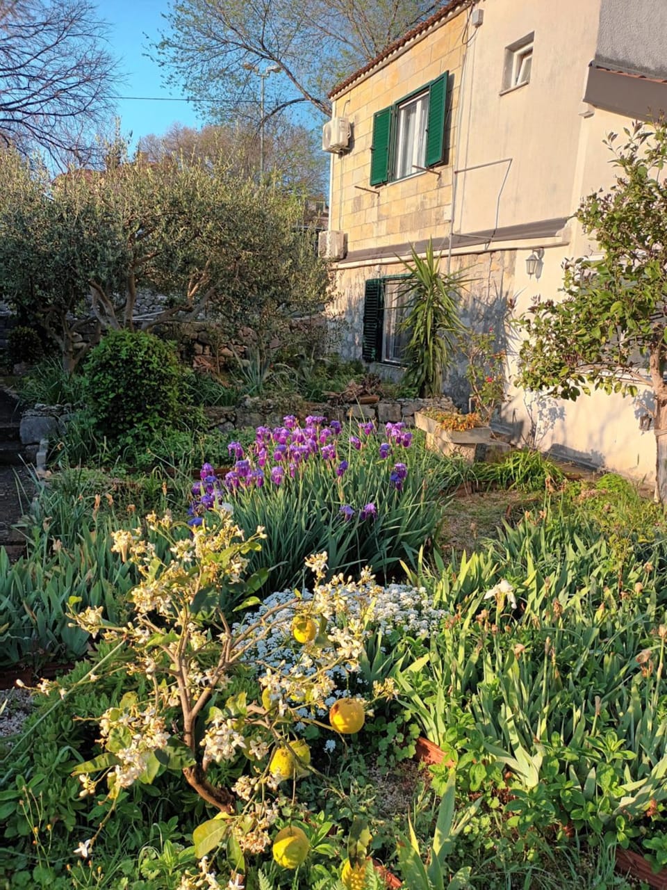 View (from property/room)