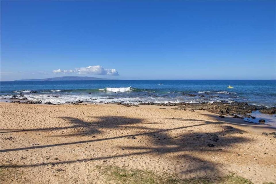 Kihei Surfside 210 Apartment in Wailea